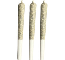 Titanimal Bubble Infused Pre-roll