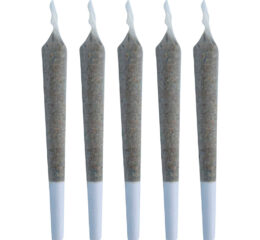 Infused Stinky Sticks Pre-Roll