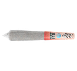 Mini Burst Black Cherry Infused Pre-Roll