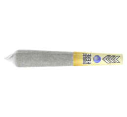 Mini Burst Pineapple Haze Infused Pre-Roll