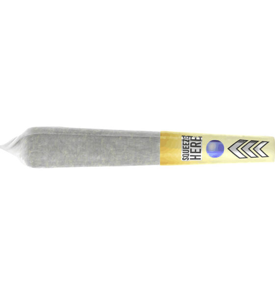 Mini Burst Pineapple Haze Infused Pre-Roll