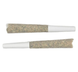 Pandora's Infusium - Bubble Hash Infused Pre-Roll