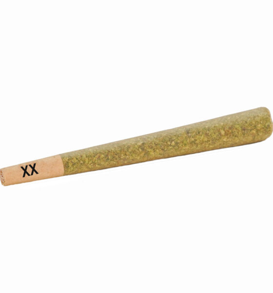 Hash Infused Pre-Roll