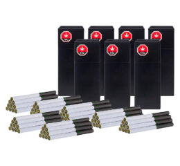 Royal Collection Redees Pre-Roll King Pack