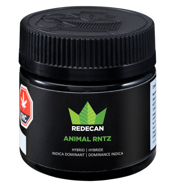 Animal Rntz - Image 4