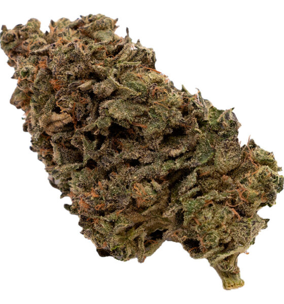 Jungle Fumes - Image 3