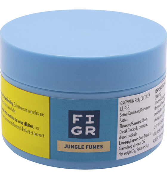 Jungle Fumes - Image 5