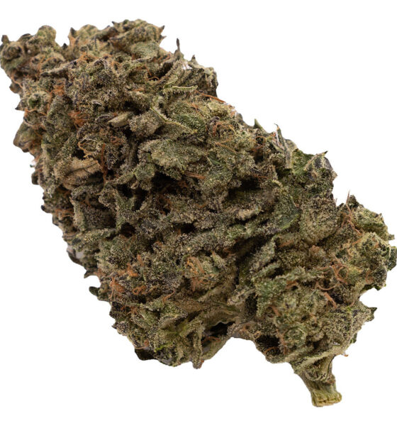 Jungle Fumes - Image 6