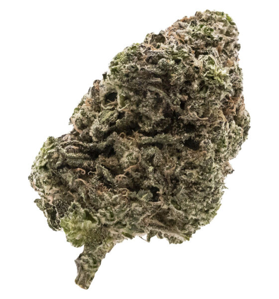 Jungle Fumes