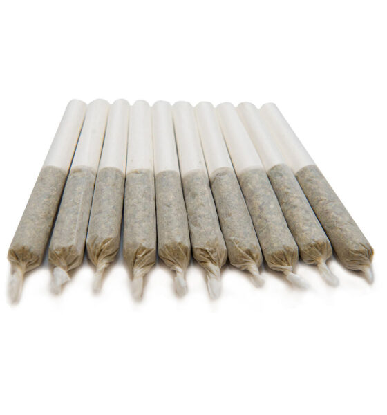 Mango Haze Pre-Rolls