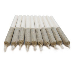 Blueberry Seagal Pre-Roll