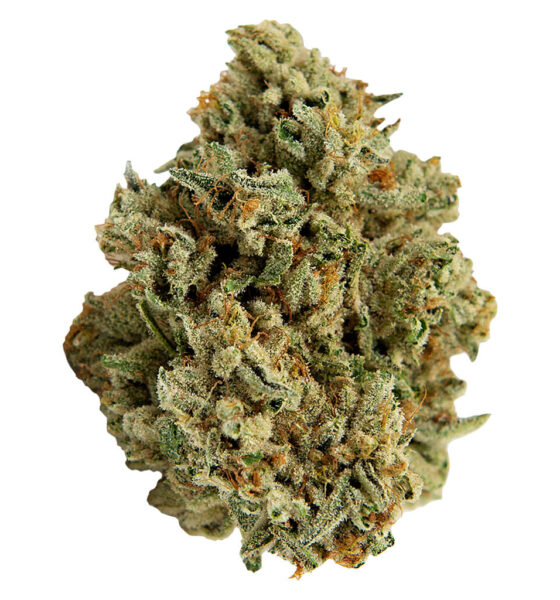 Mango Haze