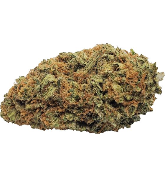 Blueberry Seagal