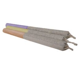 CBG Infused Pre-Roll Variety Pack
