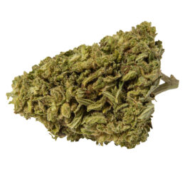 Infused Premium CBD Flower