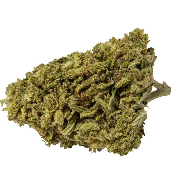 Infused Premium CBD Flower
