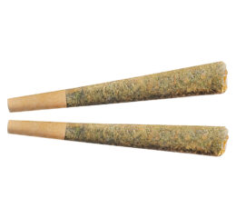 Sunny Daze Sativa Pre-Roll