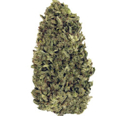 Nostalgia Craft Hemp