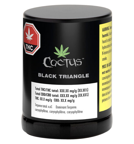 Black Triangle - Image 2