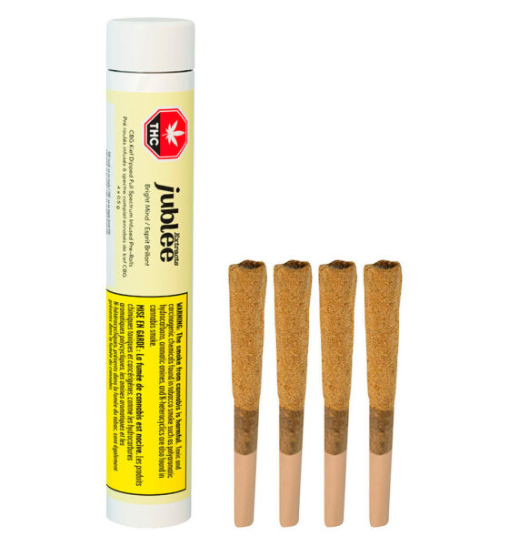 Bright Mind - CBG Kief Dipped Full Spectrum Infused Pre-Roll - Image 4