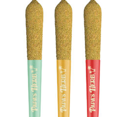 Lil Papa's - Triple Infused Flight Pack