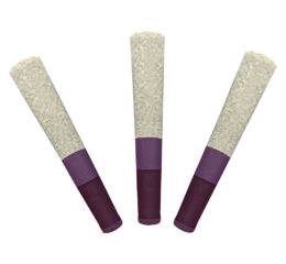 G.S.P (Gas S'il vous Plaît) Ice Water Hash Infused Pre-Roll