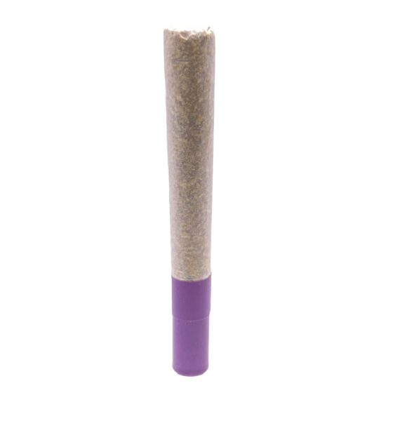G.S.P (Gas S'il vous Plaît) Ice Water Hash Infused Pre-Roll - Image 5