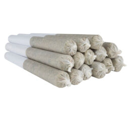 Tropic Thunder J's Pre-Roll