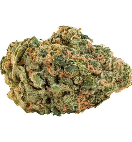 Ultra Sour - Image 5