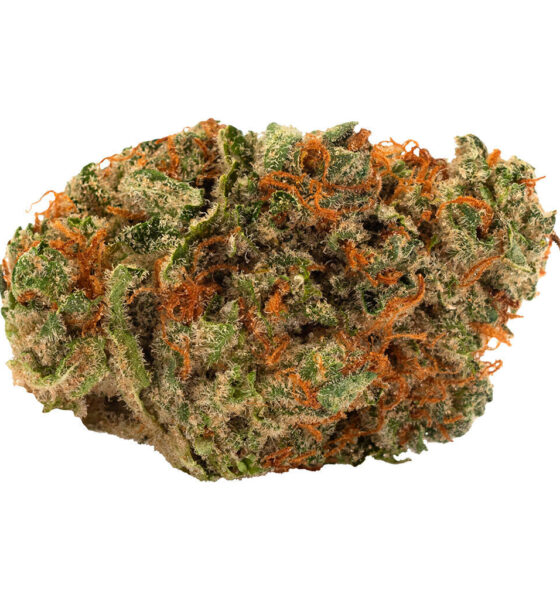 Slow Lane Indica