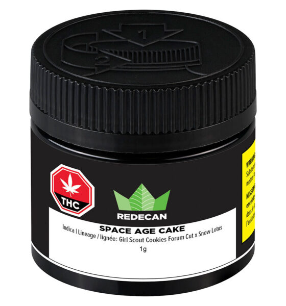 Space Age Cake - Image 7