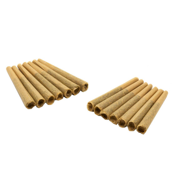 Bakery Pre-Roll