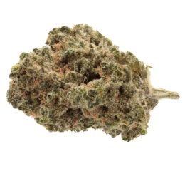 Elios Reserve Dark Shadow Haze