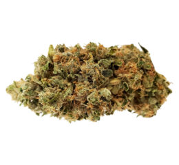 Big Pleasures (Indica)