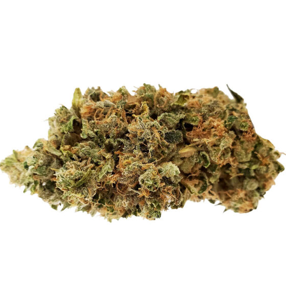 Big Pleasures (Indica)
