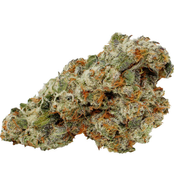 Special Haze - Image 3