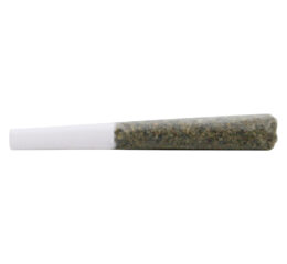 Terpies Blueberry Infused Pre-Roll
