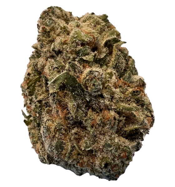 BC Purple Kush