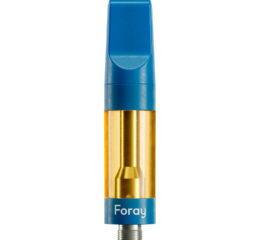 Mango Haze 1:1 Balanced 510 Thread Cartridge