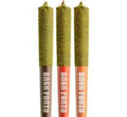 Kief-Coated Taster Pack Infused Pre-Roll