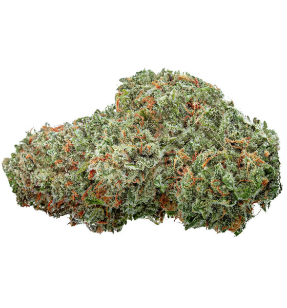 Amsterdam Sativa