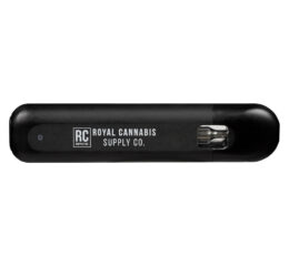 Pineapple Coconut Disposable Live Resin Vape