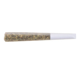 Gold Seal Hash Snake Infused Pre-Roll