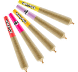 Big Shiny Popz Diamond Infused Crushable Pre-Rolls