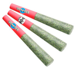 Cherry Bomb Diamond Infused Crushable Pre-Roll