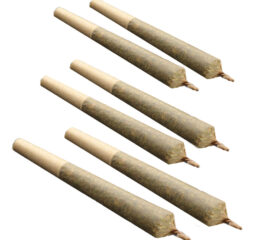 Cakelicious Pre-Rolls