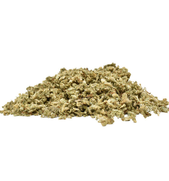 Indica 30 Plus