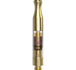 Dragon Fruit 510 Thread Cartridge