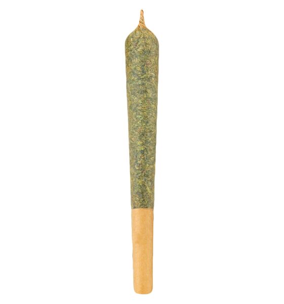 Indica Pre-Roll