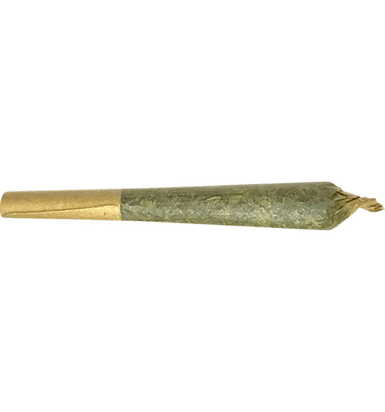 Jack Herer Pre-Roll